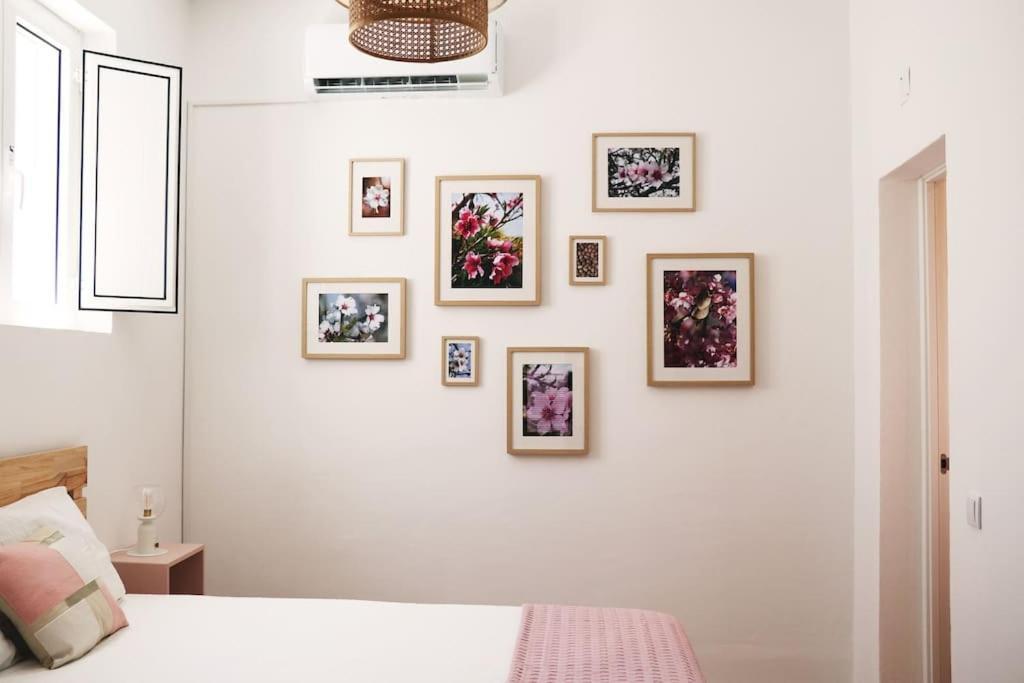 Vila Casa Da Se Silves Exteriér fotografie